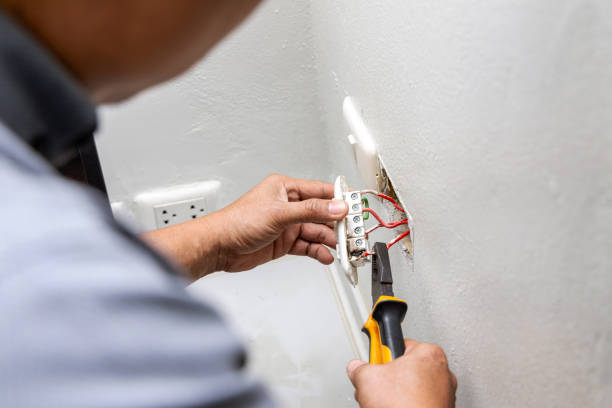 Best Ceiling Fan Installation Electrician  in Poplar Grove, IL